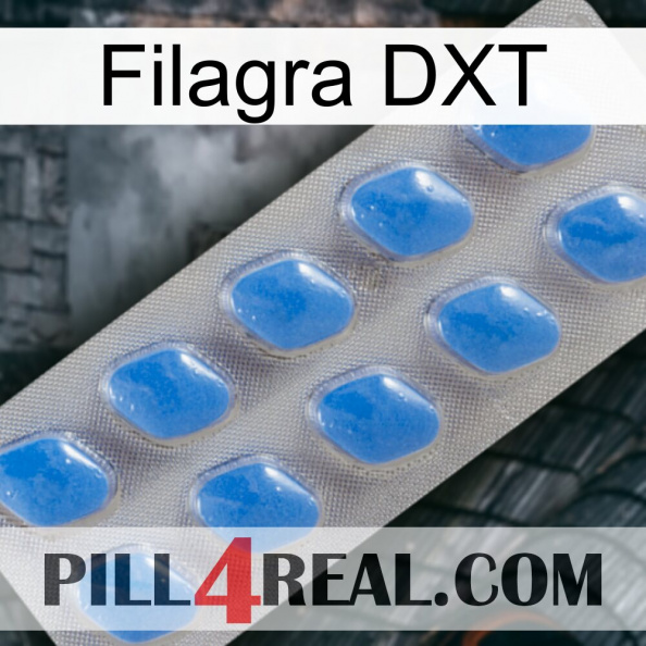 Filagra DXT 22.jpg